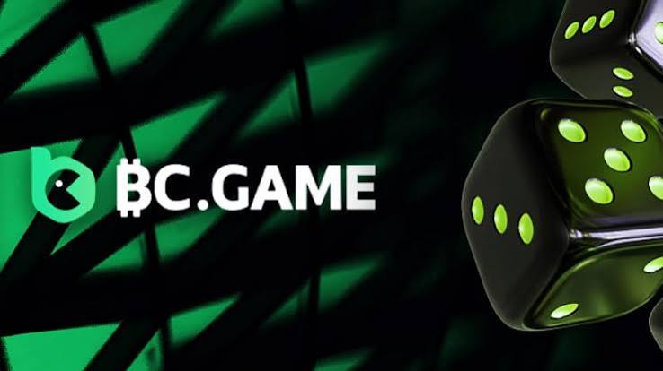 Understanding the BC.Game Login Process -332963244